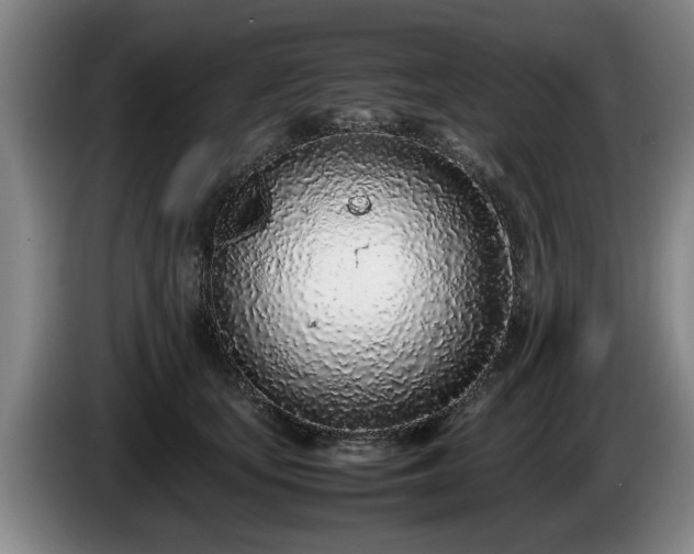 X0000086230659200704051157