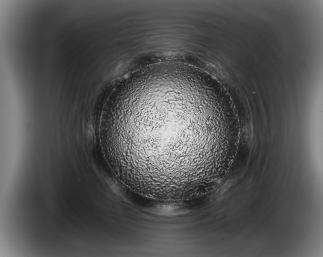 X0000086230662200704051157