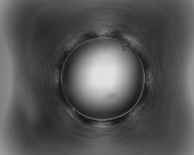 X0000086230664200704051157