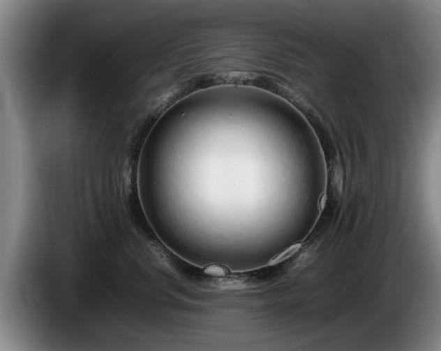 X0000086230668200704051157