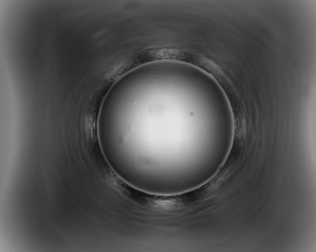 X0000086230669200704051157