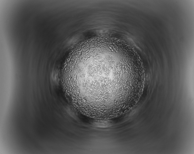 X0000086230671200704051157