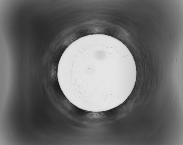 X0000086230672200704051157