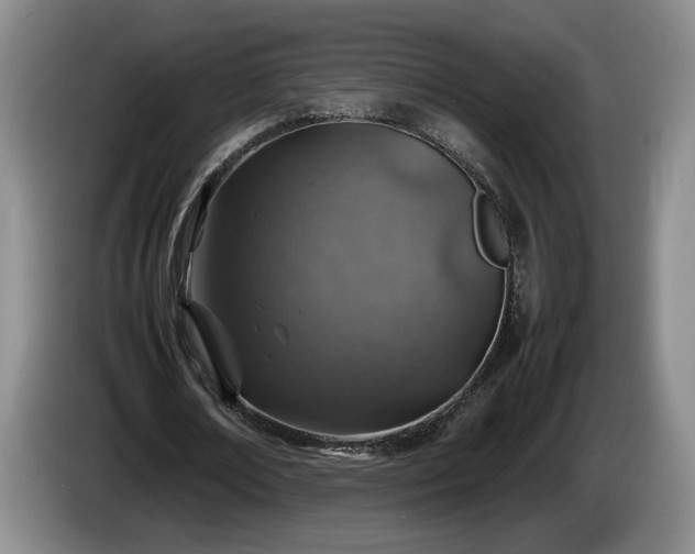 X0000086230674200704051157