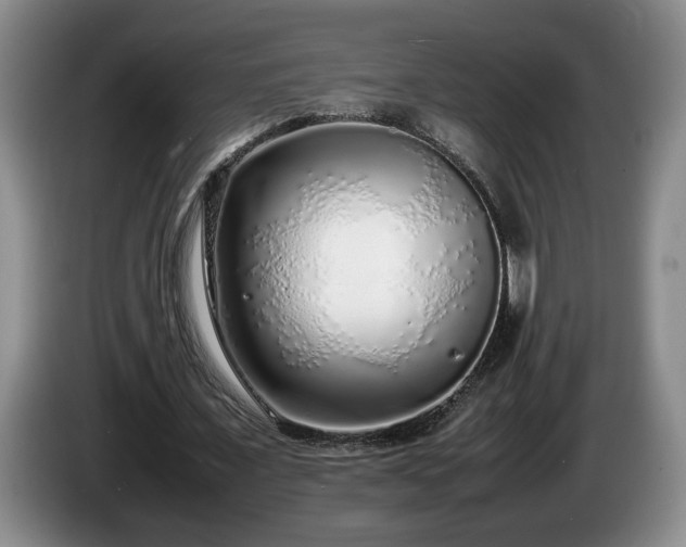 X0000086230675200704051157