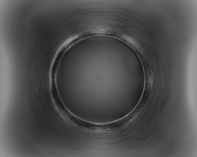 X0000086230678200704051157