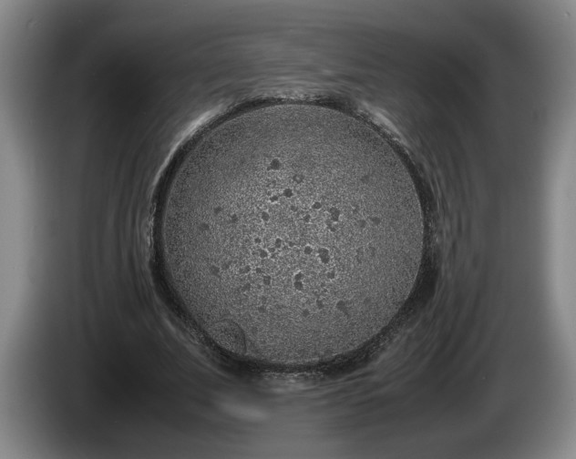 X0000086230679200704051157