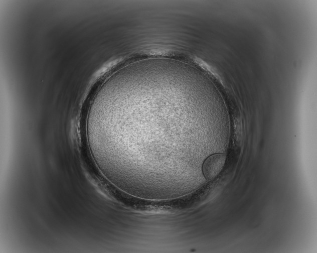 X0000086230682200704051157