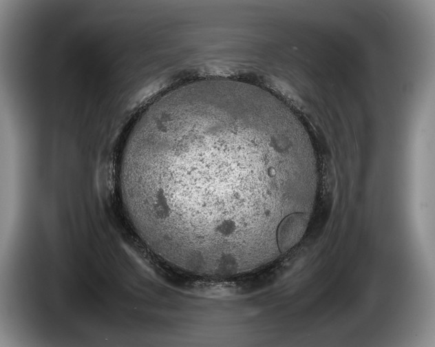 X0000086230683200704051157