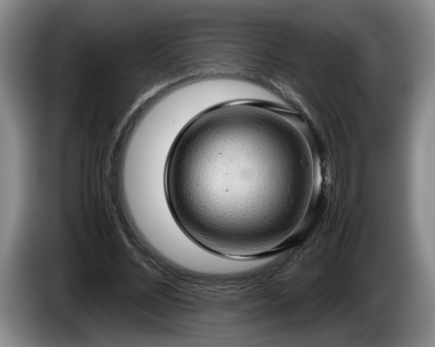 X0000086230684200704051157