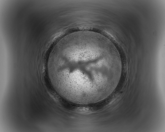 X0000086230687200704051157