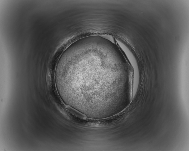 X0000086230688200704051157