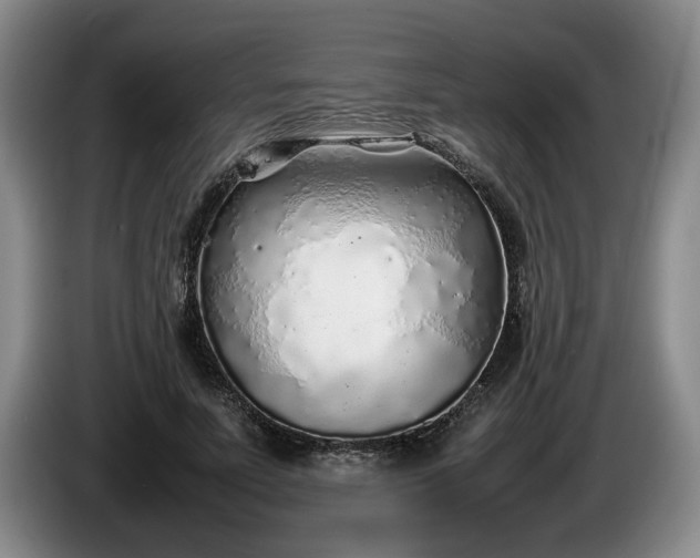 X0000086230691200704051157