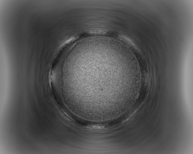 X0000086230692200704051157