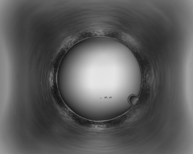 X0000086230694200704051156