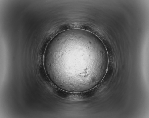 X0000086230699200704051156