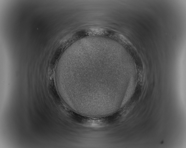 X0000086230701200704051156
