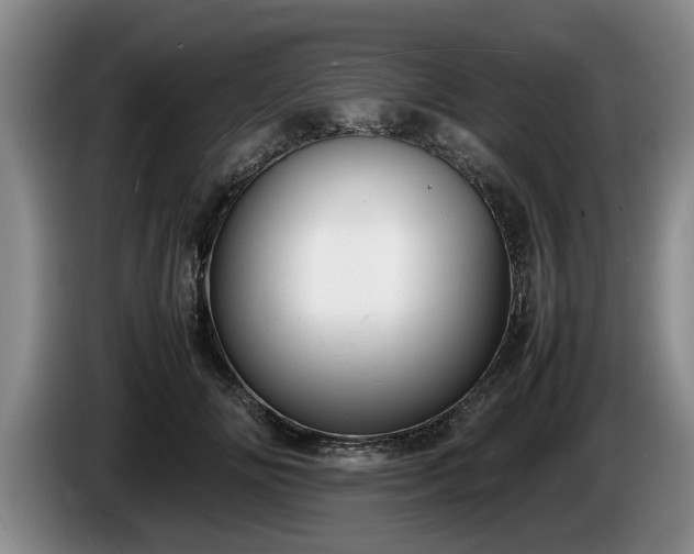 X0000086230702200704051156