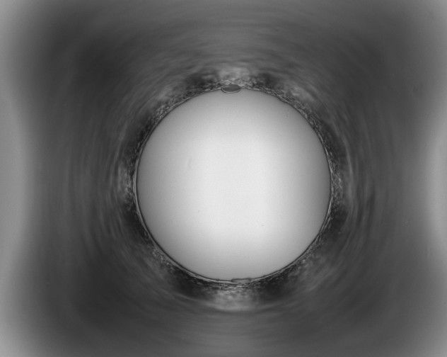 X0000086230705200704051156