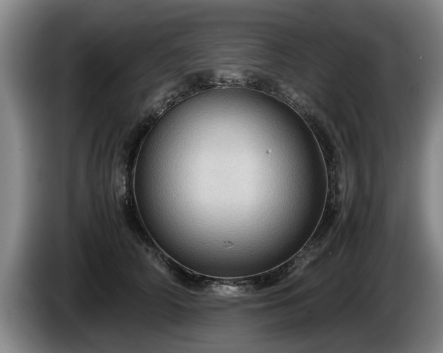 X0000086230706200704051156