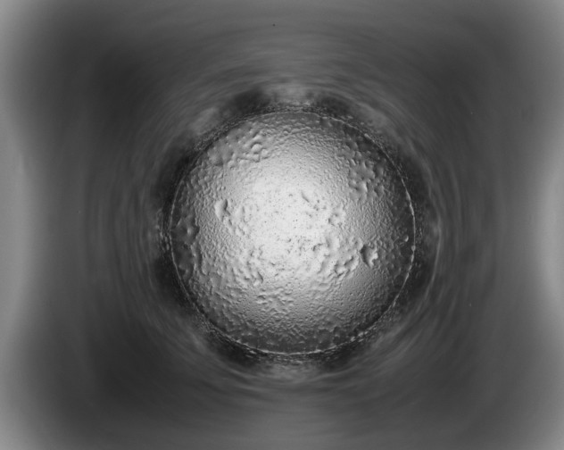 X0000086230707200704051156