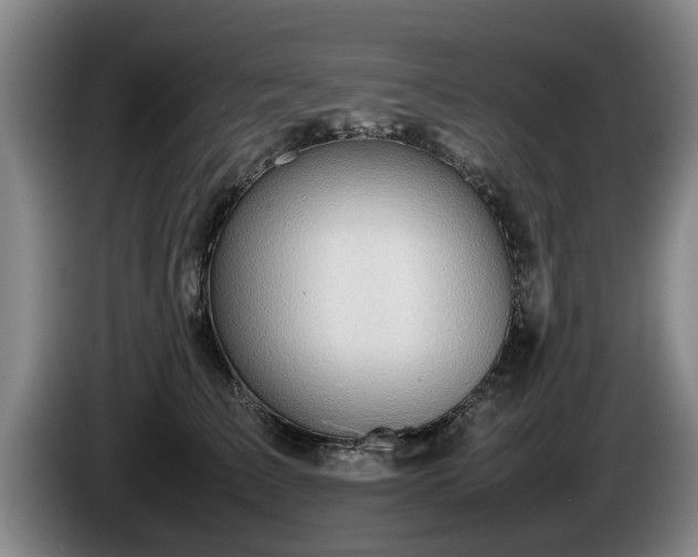 X0000086230709200704051156