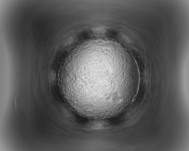 X0000086230711200704051156