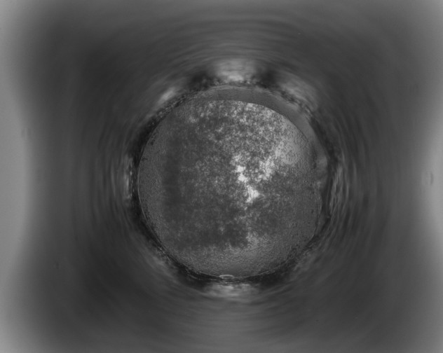 X0000086230712200704051156