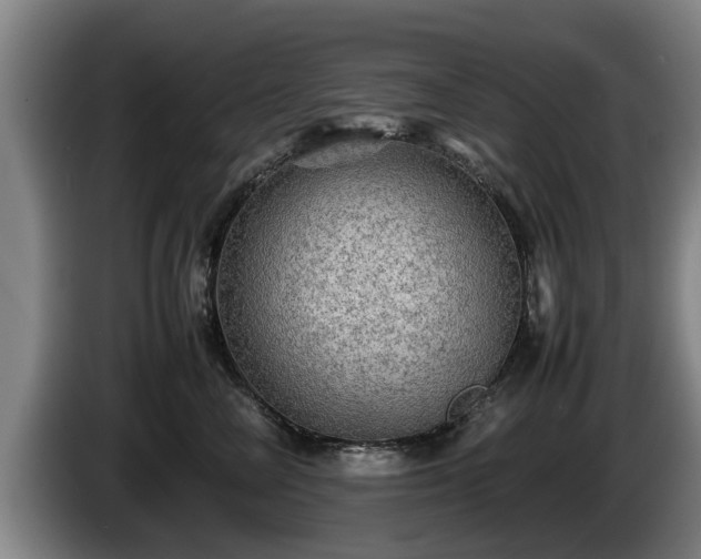 X0000086230714200704051156