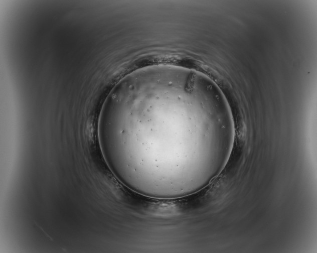 X0000086230715200704051156