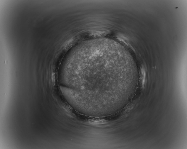 X0000086230716200704051156