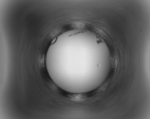 X0000086230717200704051156