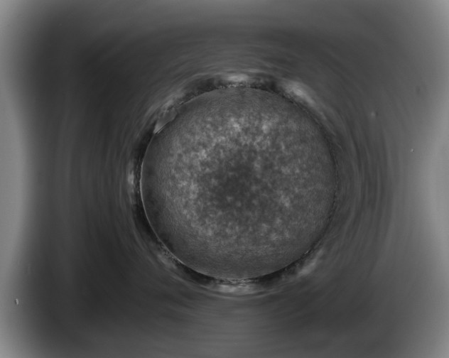 X0000086230720200704051156