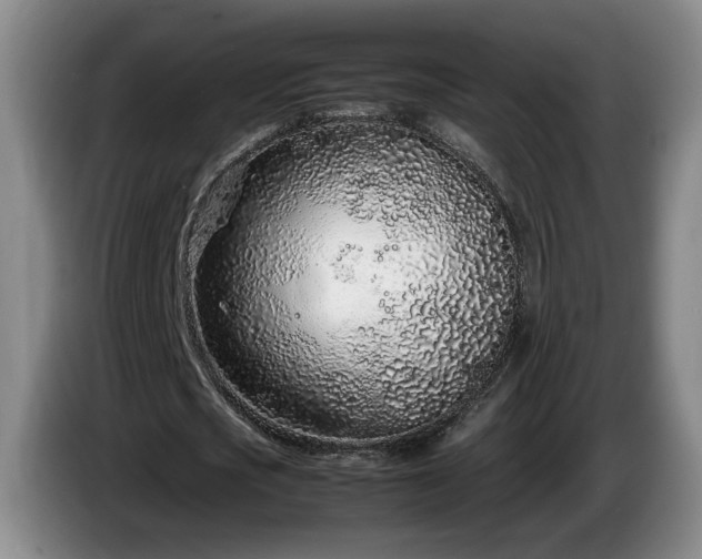X0000086230721200704051155
