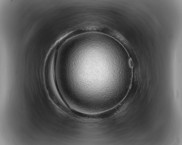 X0000086230722200704051155