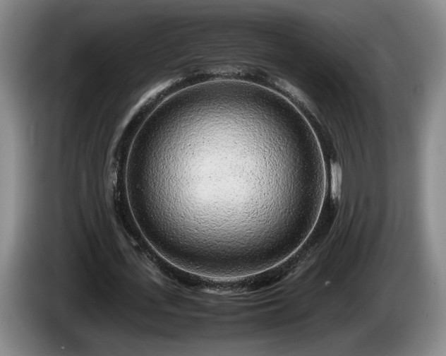 X0000086230723200704051155