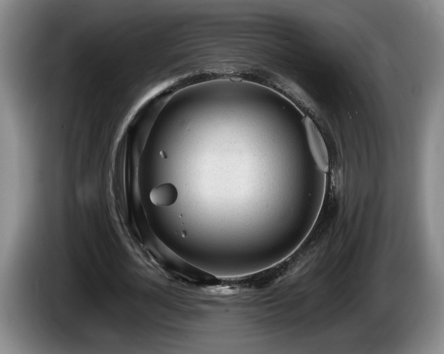 X0000086230724200704051155