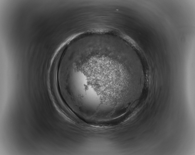 X0000086230726200704051156