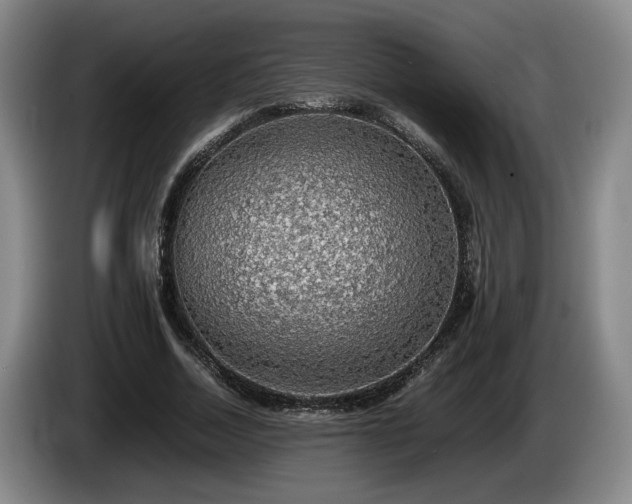 X0000086230730200704051156