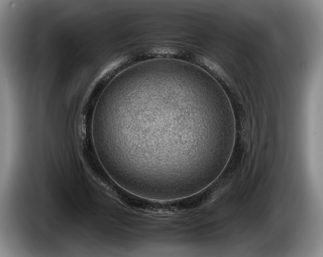 X0000086230731200704051156