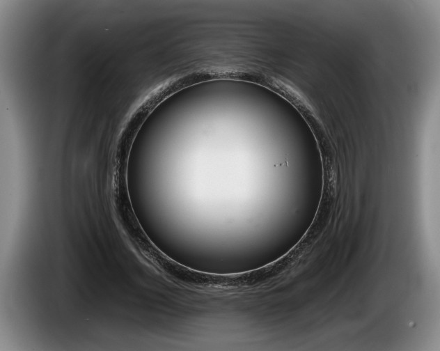 X0000086230732200704051156