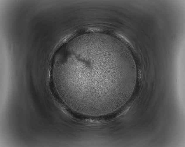 X0000086230733200704051156