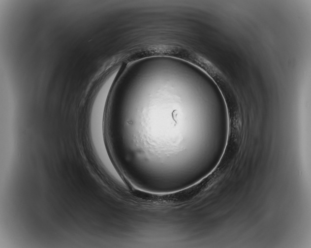 X0000086230734200704051156