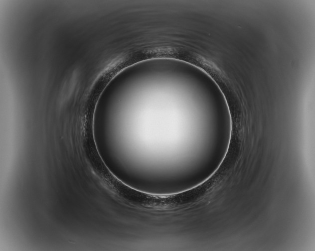 X0000086230735200704051156