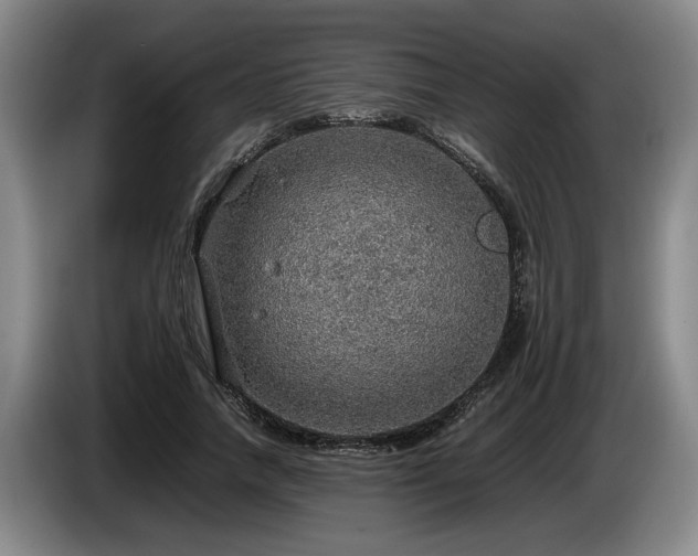 X0000086230738200704051156