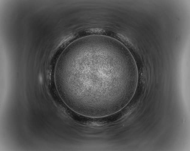 X0000086230739200704051156