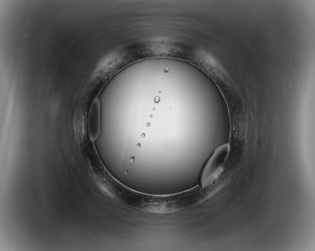 X0000086230740200704051156