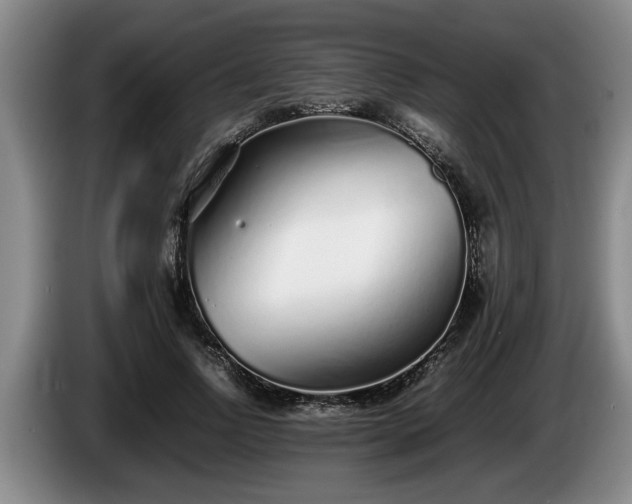 X0000086230742200704051156