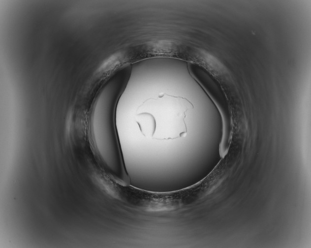 X0000086230744200704051156