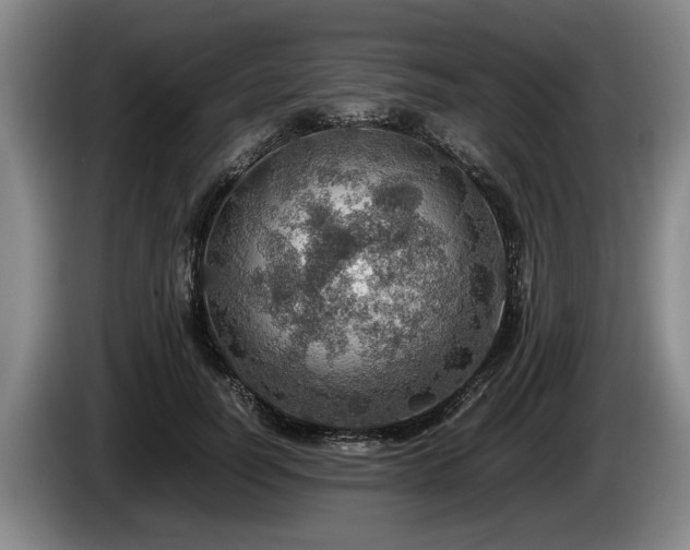 X0000086230746200704051156